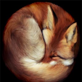 Painting of a sleeping fox