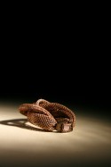 Bracelet made of hair with lock of Mrs. Jean Burns hair in the clasp. Object no. 3.8512